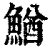 鰌(印刷字体·清·康熙字典)