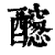 𨣭(印刷字体·清·康熙字典)