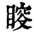 𥈃(印刷字体·清·康熙字典)